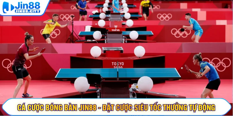 Cá Cược Bóng Bàn JIN88 - Đặt Cược Siêu Tốc Thưởng Tự Động