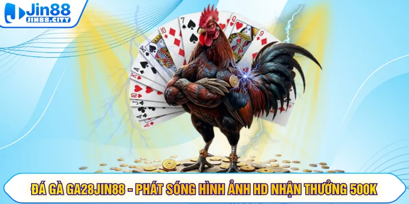 Đá Gà GA28JIN88 - Phát Sóng Hình Ảnh HD Nhận Thưởng 500K