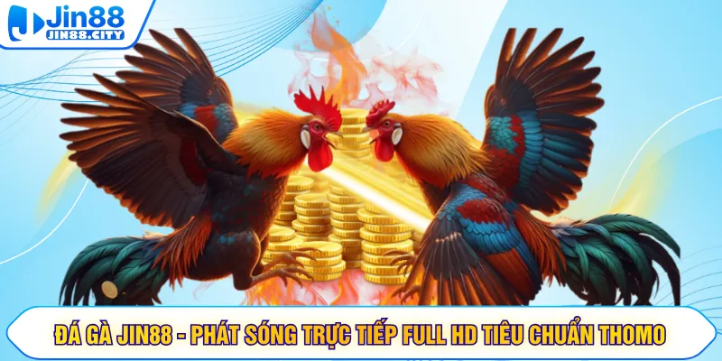 Đá Gà JIN88 - Phát Sóng Trực Tiếp Full HD Tiêu Chuẩn Thomo