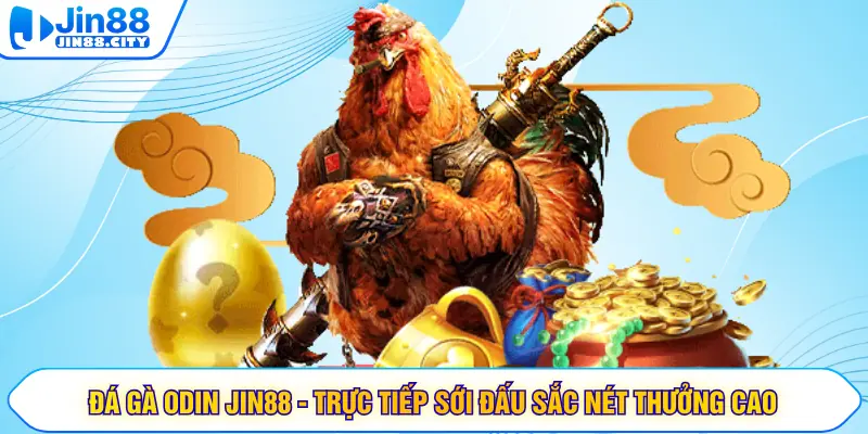 Đá Gà ODIN JIN88 - Trực Tiếp Sới Đấu Sắc Nét Thưởng Cao